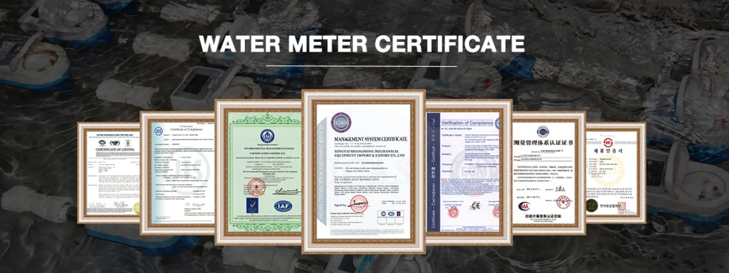 Large Caliber Cast Iron Mechanical Flange Installation Trubine Irrigation Woltman Water Flow Meters