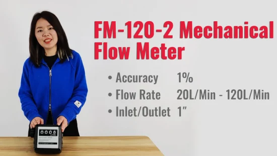 Misuratore di portata del carburante digitale per consumo di benzina, contatore diesel meccanico a turbina da 1 pollice